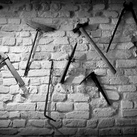 Ca Gufo Apartment Senigallia